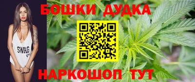 индика Тверь
