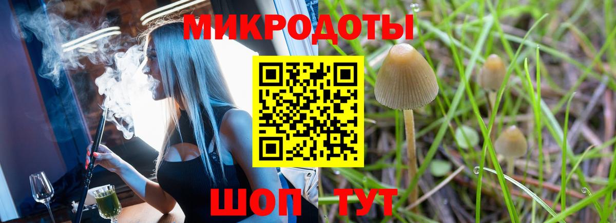 Галлюциногенные грибы MAGIC MUSHROOMS  хочу наркоту  Отрадный  Вход с VPN 